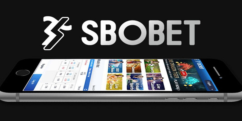 Hướng dẫn chơi sbobet Kubet